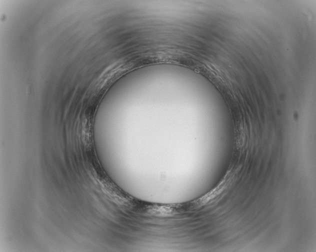 X0000086790140200704131250