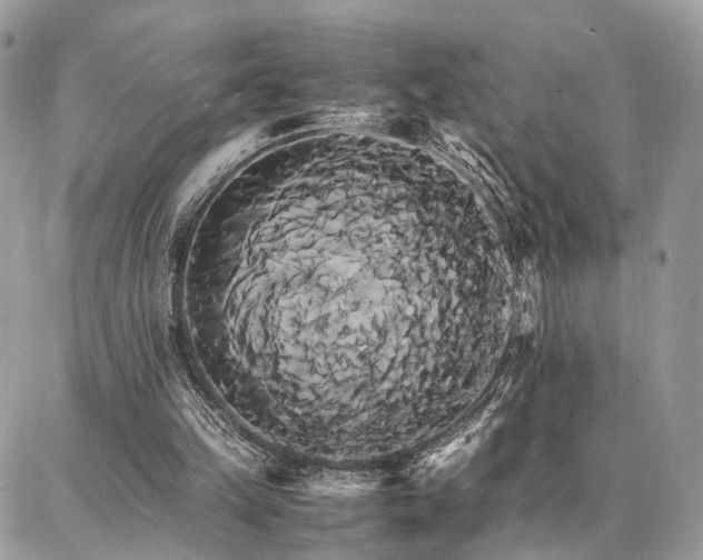 X0000086790149200704131249