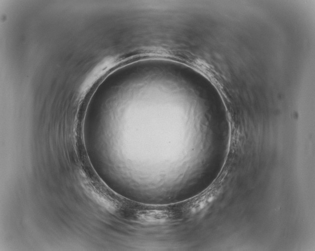 X0000086790151200704131249