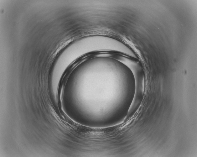 X0000086790154200704131249