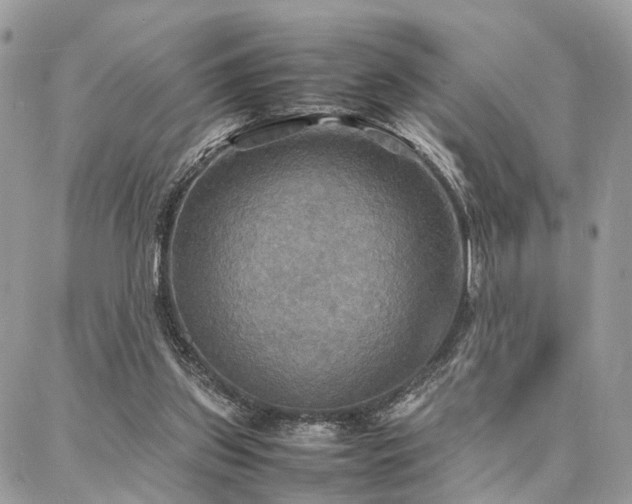 X0000086790157200704131249