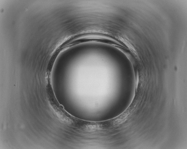 X0000086790160200704131249