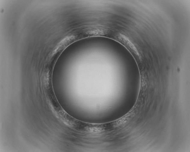 X0000086790163200704131249