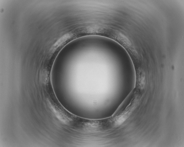 X0000086790164200704131249