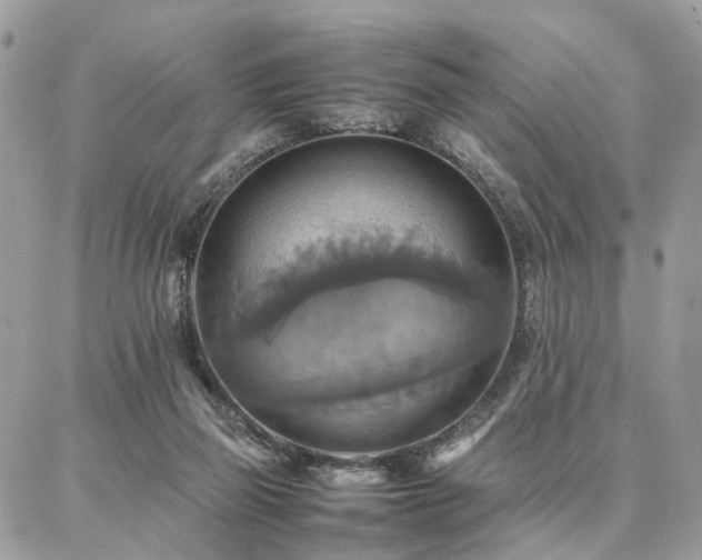 X0000086790165200704131249