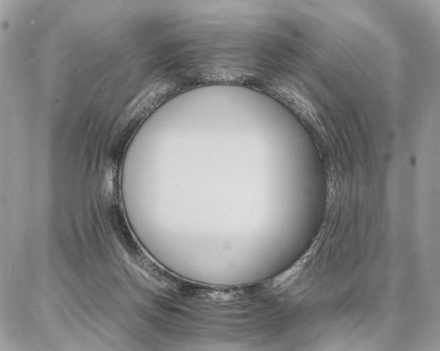 X0000086790166200704131249