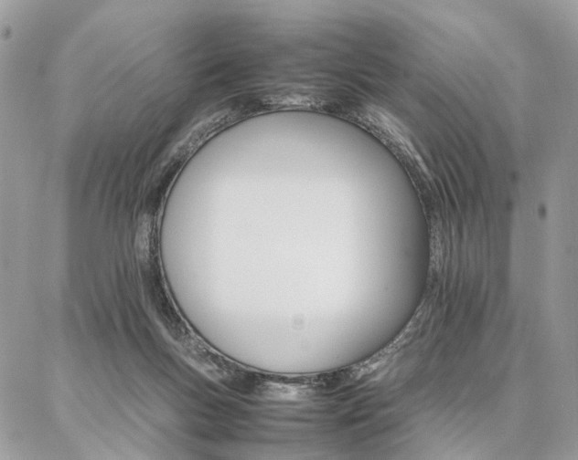 X0000086790167200704131249