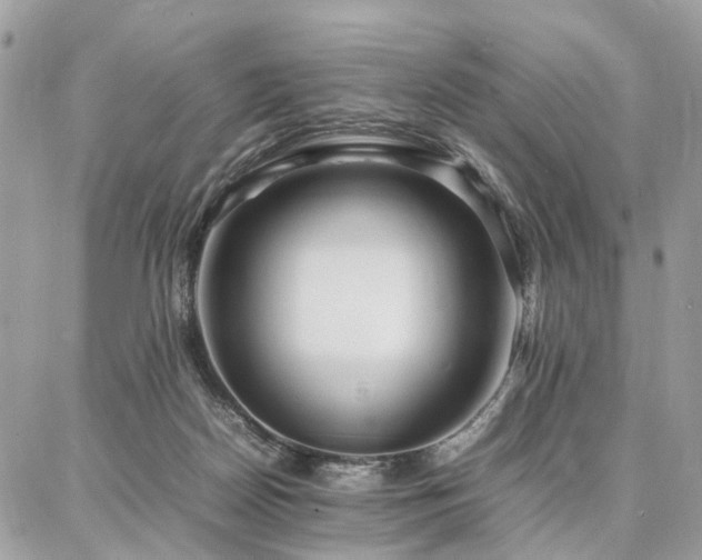 X0000086790170200704131249