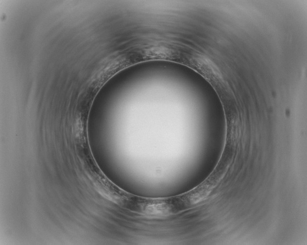 X0000086790173200704131249