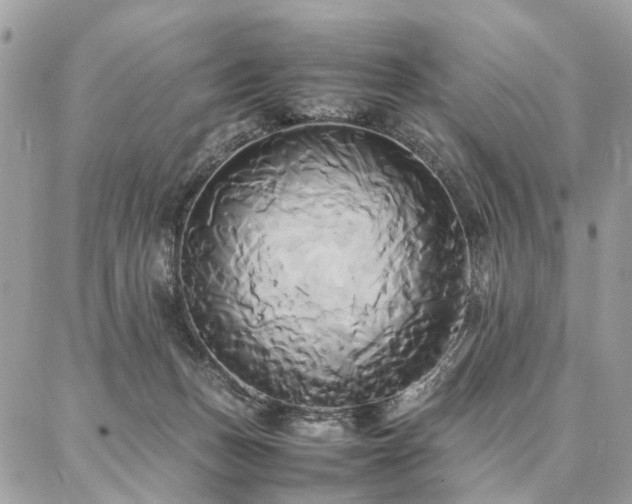 X0000086790175200704131249