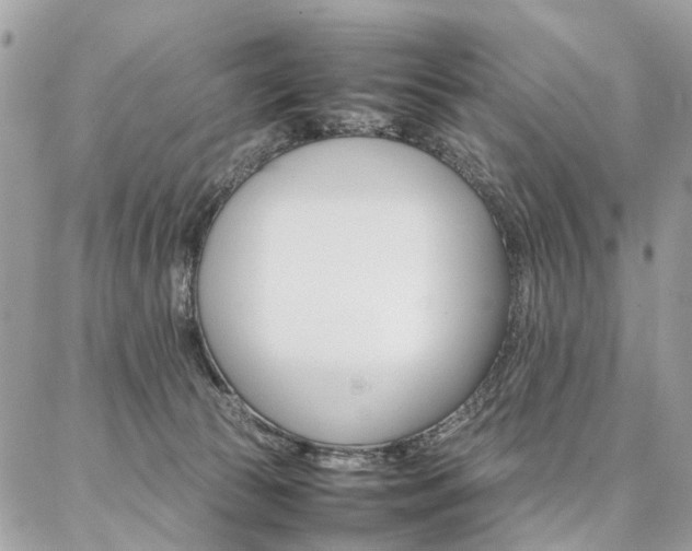 X0000086790177200704131249