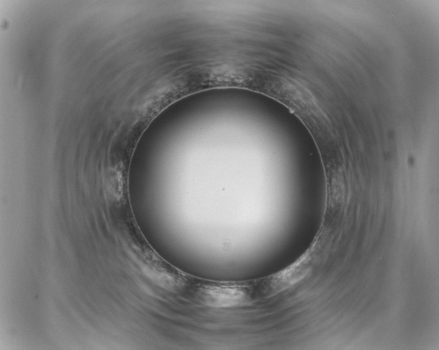 X0000086790183200704131249
