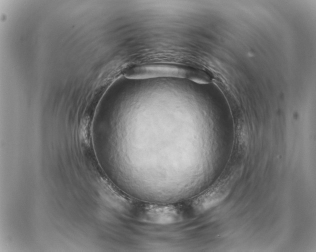 X0000086790185200704131249