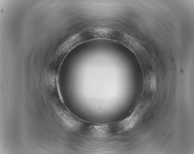 X0000086790188200704131249