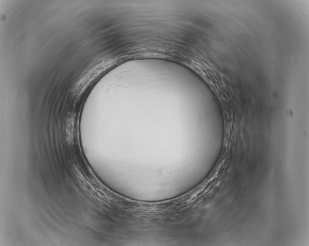 X0000086790194200704131249