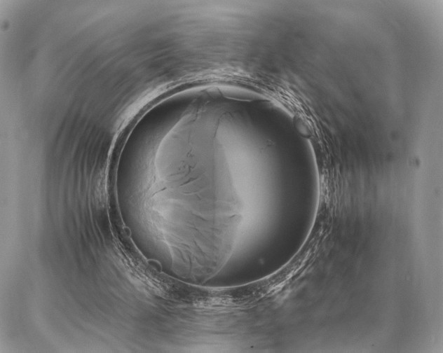 X0000086790196200704131249