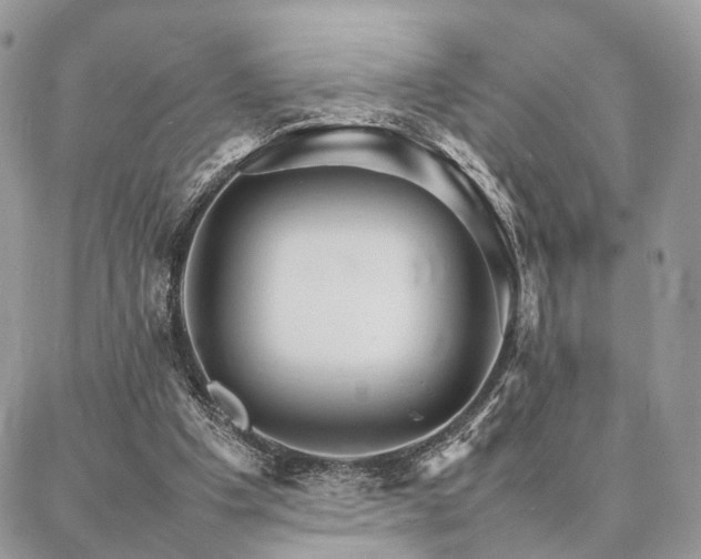 X0000086790201200704131249