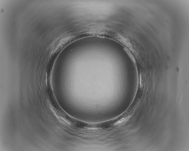 X0000086790205200704131248