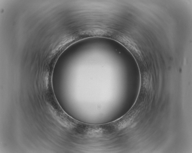X0000086790206200704131248