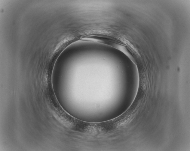 X0000086790207200704131248