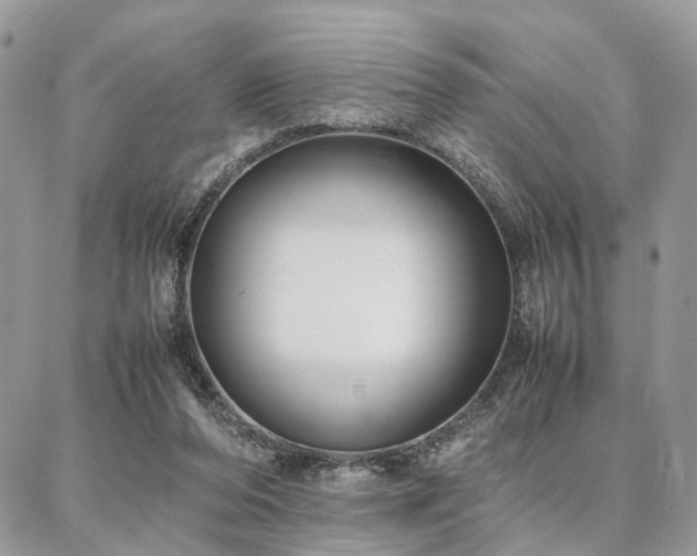 X0000086790208200704131248