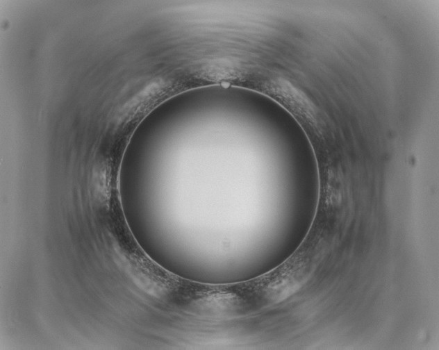 X0000086790210200704131248