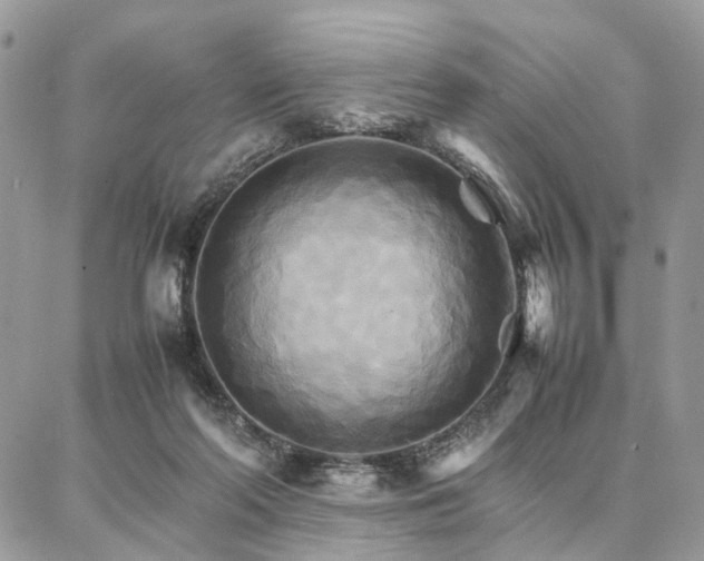 X0000086790214200704131248