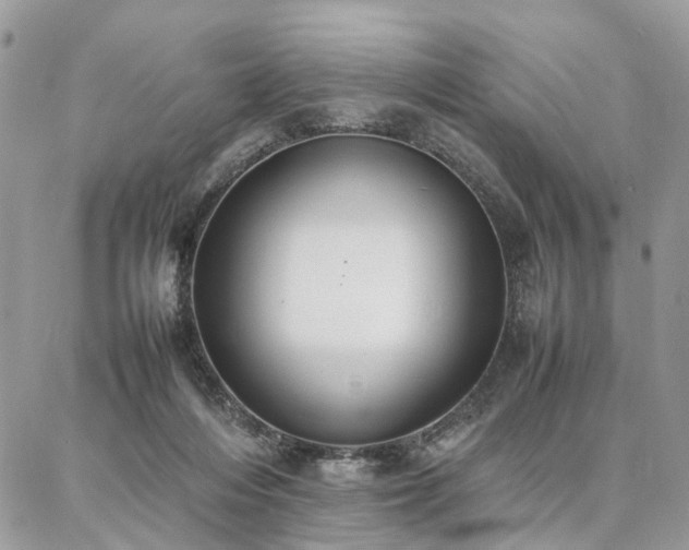 X0000086790216200704131248
