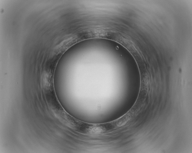 X0000086790218200704131248