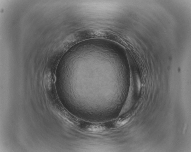 X0000086790223200704131248