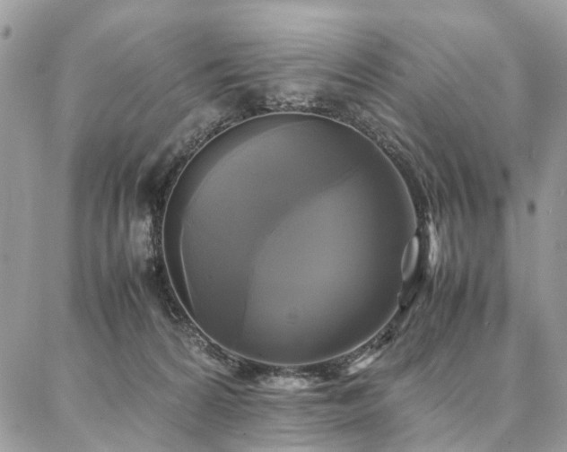 X0000086790224200704131248