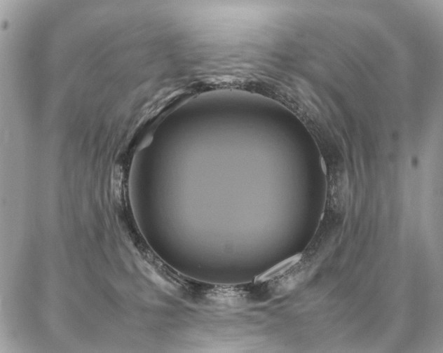 X0000086790231200704131248