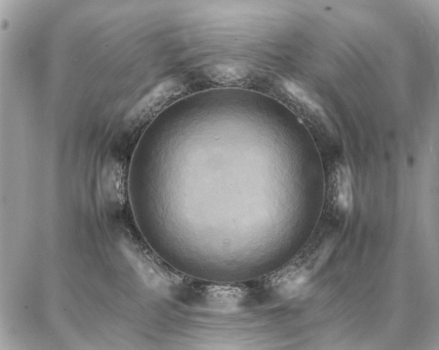 X0000086790234200704131248