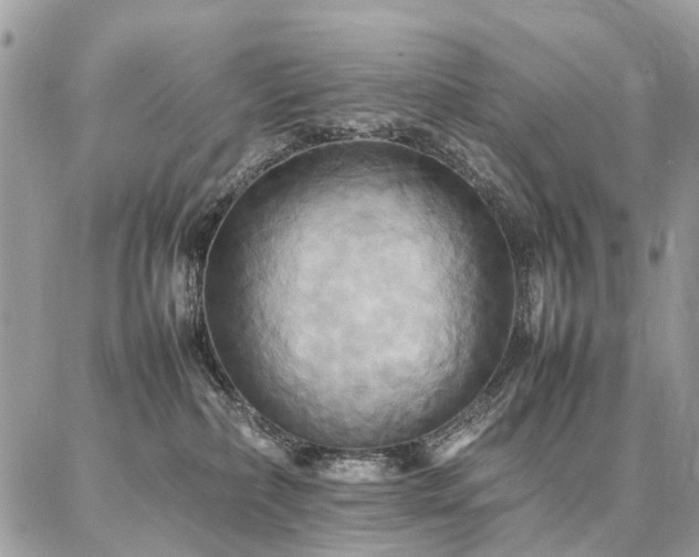 X0000086790236200704131248