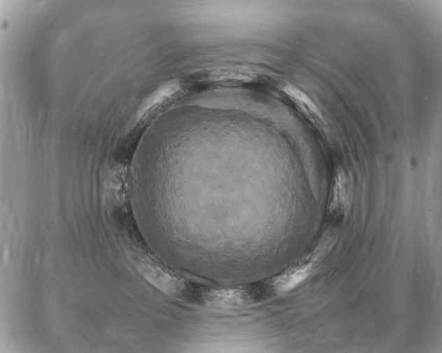 X0000086790237200704131248