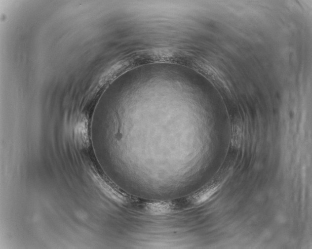X0000086790238200704131248