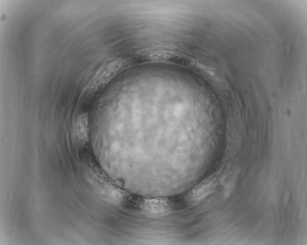 X0000086790240200704131248
