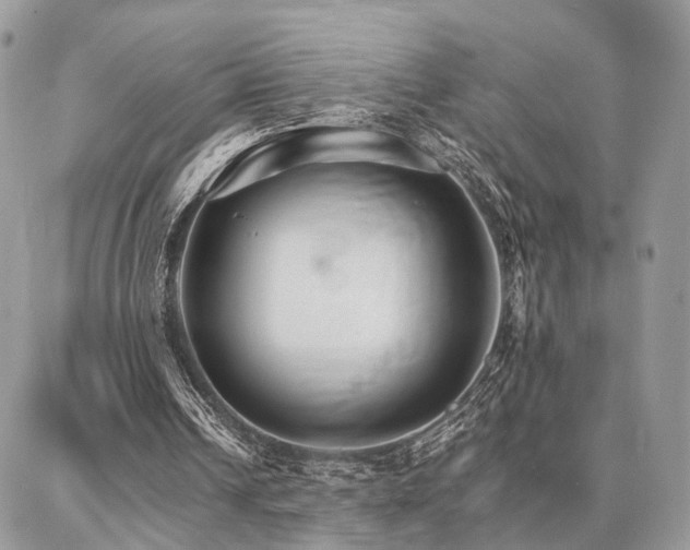 X0000086790242200704131247