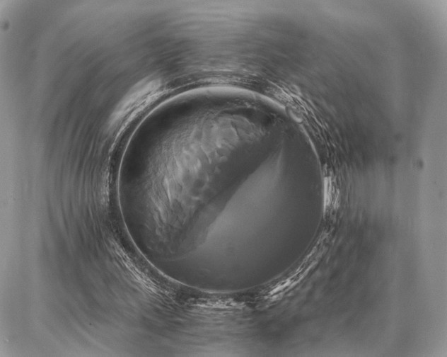 X0000086790243200704131247