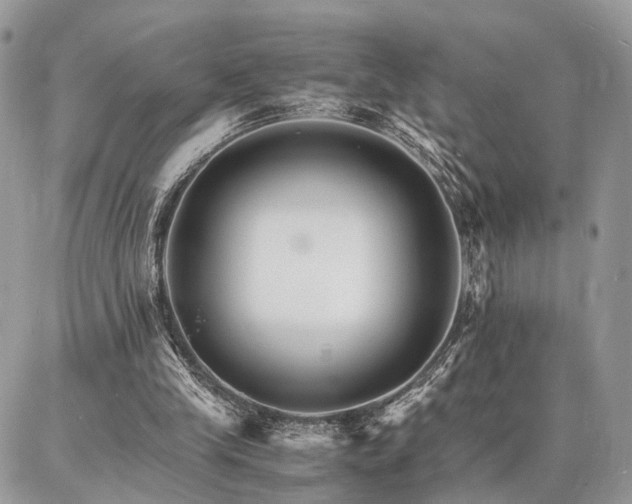 X0000086790245200704131247