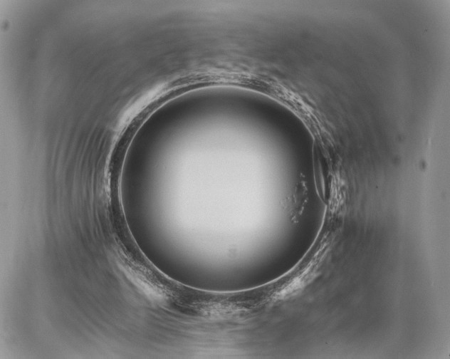 X0000086790246200704131247