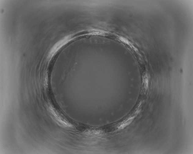X0000086790247200704131247