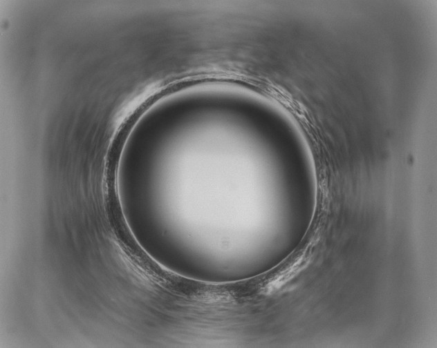 X0000086790248200704131247