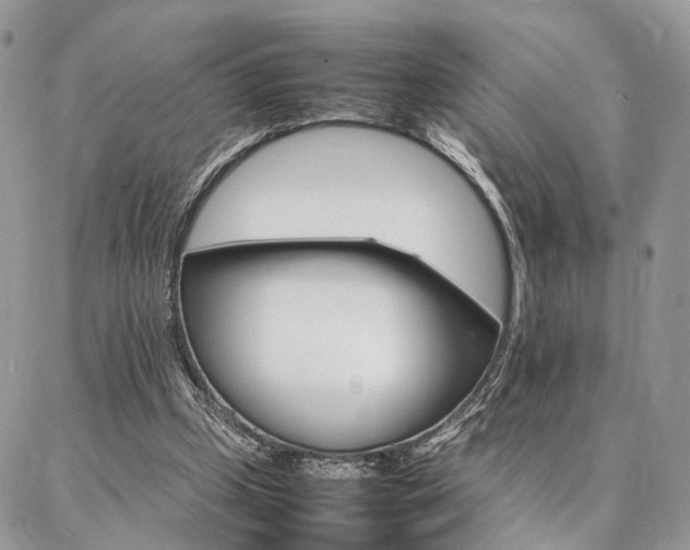 X0000086790249200704131247