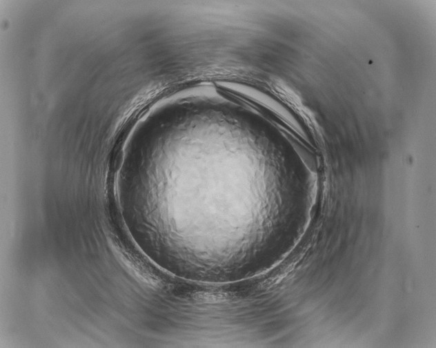 X0000086790250200704131247