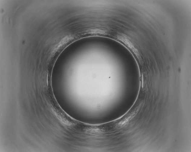 X0000086790253200704131247