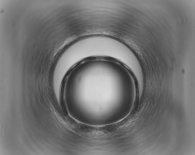 X0000086790256200704131247
