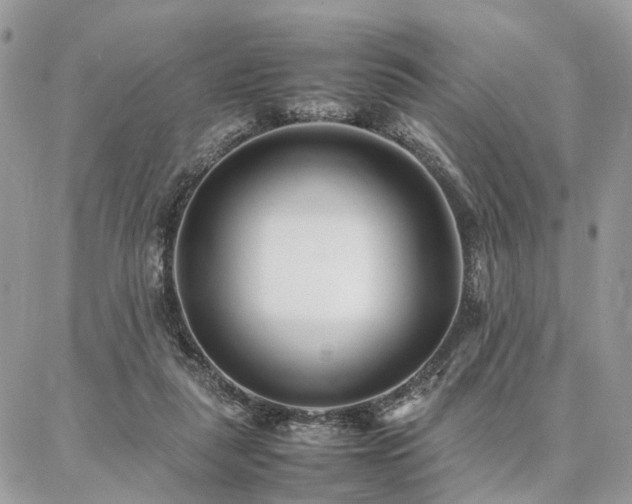 X0000086790259200704131247