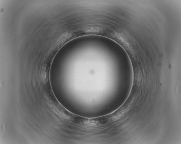 X0000086790261200704131247