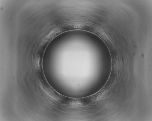 X0000086790262200704131247